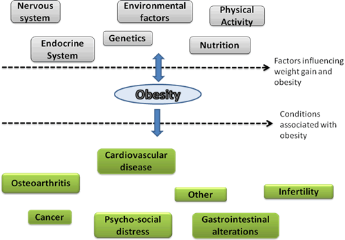 factors influencing obesity